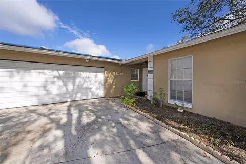 7507 Meadow Dr, Tampa, FL 33634
