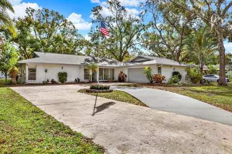 3320 Lake Padgett Dr, Land O Lakes, FL 34639