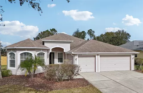 22707 Eagles Watch Dr, Land O Lakes, FL 34639