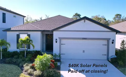 12969 Brookside Moss Dr, Riverview, FL 33579 photo 1