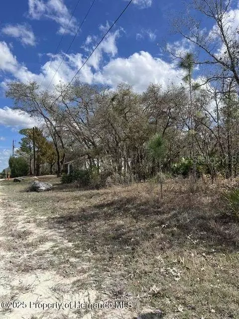 10180 Zebrafinch Ave, Weeki Wachee, FL 34614