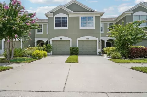 10280 Post Harvest Dr, Riverview, FL 33578 photo 1