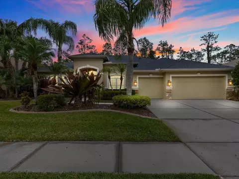 27121 Brush Creek Way, Wesley Chapel, FL 33544