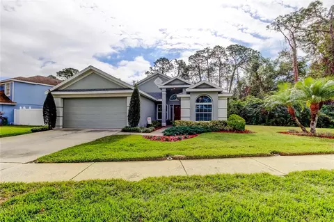 9702 Fredericksburg Rd, Tampa, FL 33635