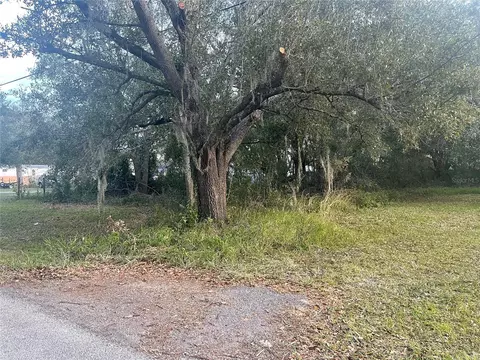 26346 Foamflower Blvd, Wesley Chapel, FL 33544