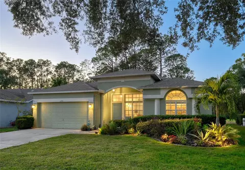 12911 Royal George Ave, Odessa, FL 33556