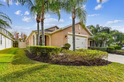 29254 Perilli Pl, Wesley Chapel, FL 33543