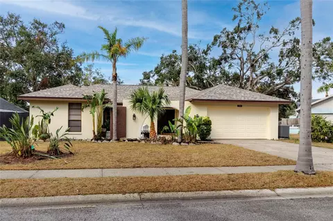 391 Meravan Ct, Palm Harbor, FL 34683