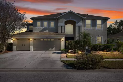 7212 Americus Ln, Land O Lakes, FL 34637
