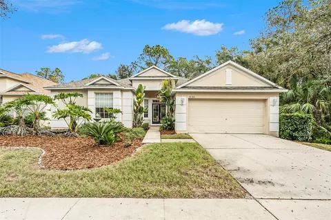 19157 Meadow Pine Dr, Tampa, FL 33647