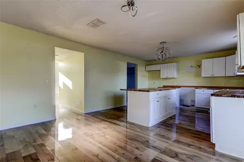 11309 Outrigger Ave, Spring Hill, FL 34608 photo 11