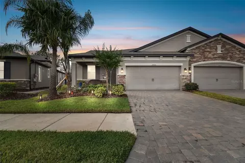 19315 Hawk Valley Dr, Tampa, FL 33647