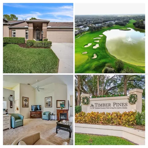8015 Willow Brook Dr, Spring Hill, FL 34606