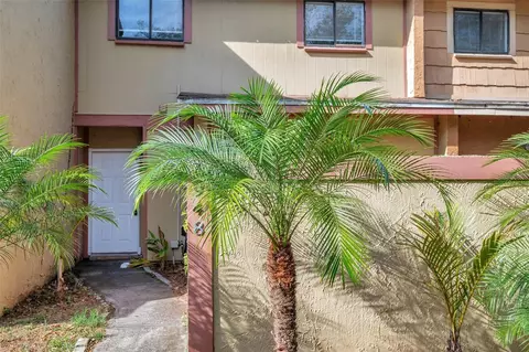6948 Trout St, Tampa, FL 33617