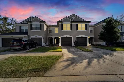 6912 Rock Springs Way, Tampa, FL 33625