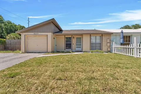 10217 Turtle Hill Ct, Tampa, FL 33615