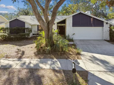 3113 Blue Heron St, Safety Harbor, FL 34695