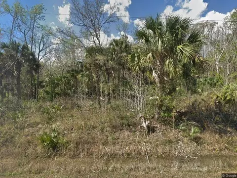 10655 Ruth Ave, Hastings, FL 32145