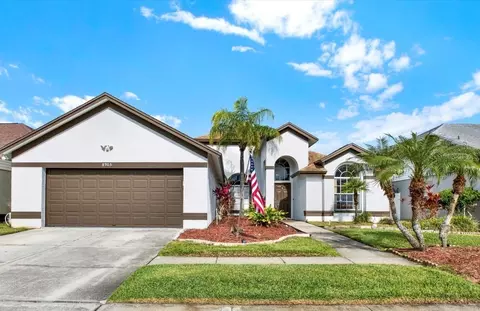 8905 Breland Dr, Tampa, FL 33626