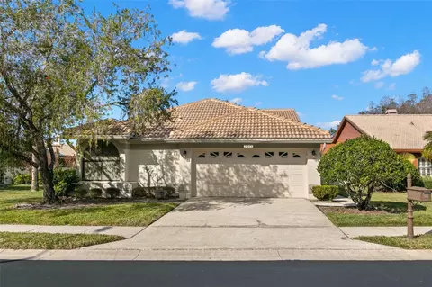 3621 Darston St, Palm Harbor, FL 34685