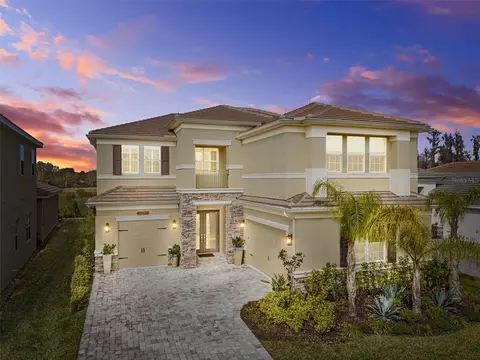 3221 Acacia Bay Dr, Wesley Chapel, FL 33543