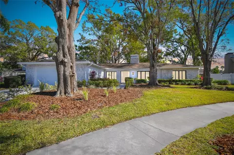 11905 Trevino Pl, Tampa, FL 33624