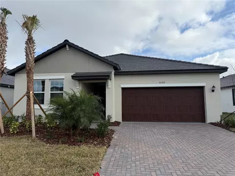 31703 Griffin Sands Ln, San Antonio, FL 33576
