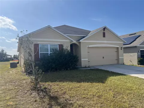 913 Shady Tree Lane Ln, Davenport, FL 33897