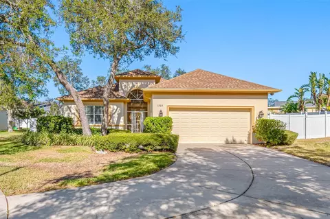 1503 River Ct, Tarpon Springs, FL 34689