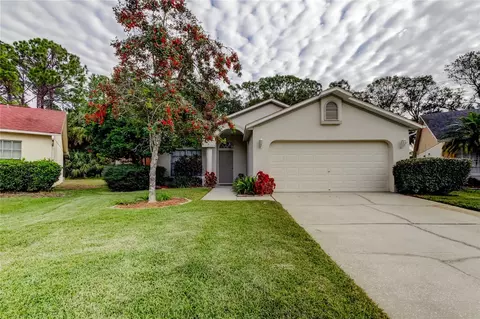 8727 Huntfield St, Tampa, FL 33635