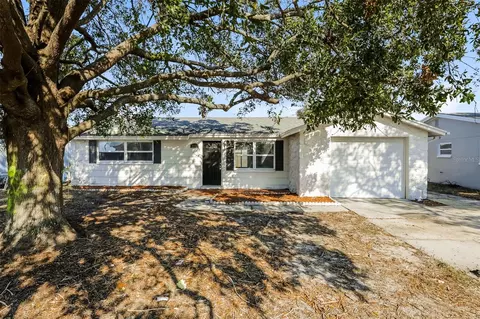 1172 Fernwood Dr, Holiday, FL 34690