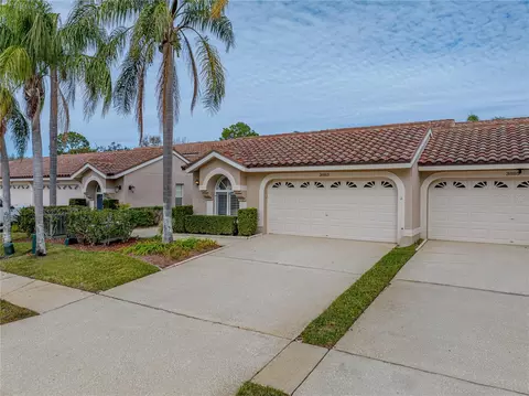 3883 Darston St, Palm Harbor, FL 34685