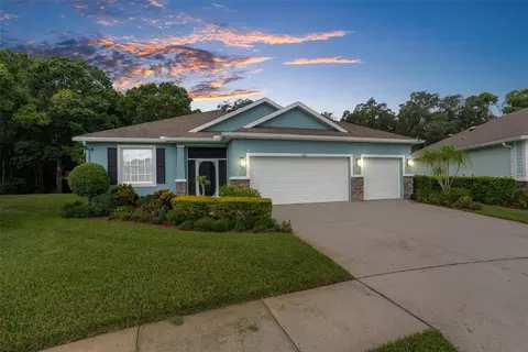 11206 Kiskadee Cir, New Port Richey, FL 34654