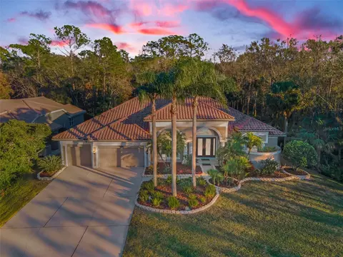 4919 Turtle Creek Trl, Oldsmar, FL 34677