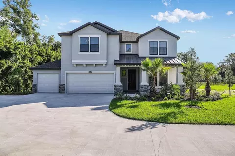 18437 Purple Creek Ln, Lutz, FL 33549