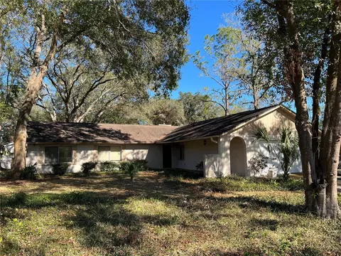 6720 Drifting Sands Rd, Temple Terrace, FL 33617