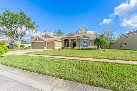 1516 Distant Oaks Dr, Wesley Chapel, FL 33543