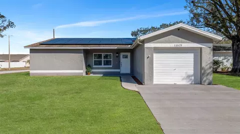 11525 Paperwood Pl, Riverview, FL 33579