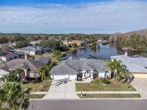 5471 Stallion Lake Dr, Palm Harbor, FL 34685
