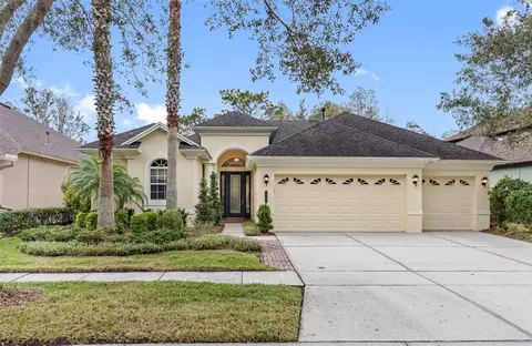 20408 Walnut Grove Ln, Tampa, FL 33647