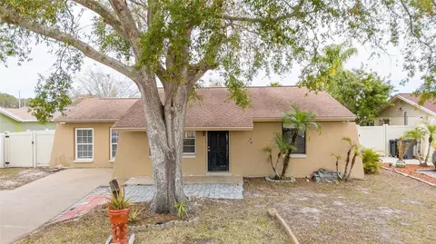 10205 Bellhurst Ct, Tampa, FL 33615