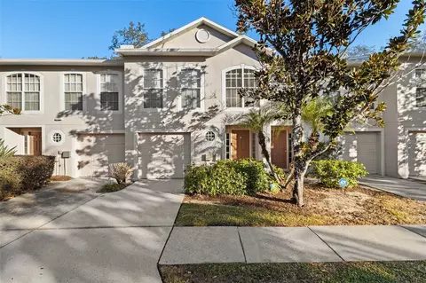 9942 Ashburn Lake Dr, Tampa, FL 33610