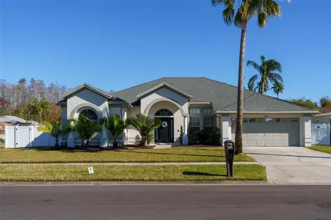 13418 Iola Dr, Tampa, FL 33626