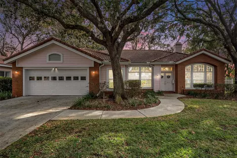 8703 Cypress Mill Ct, Tampa, FL 33647