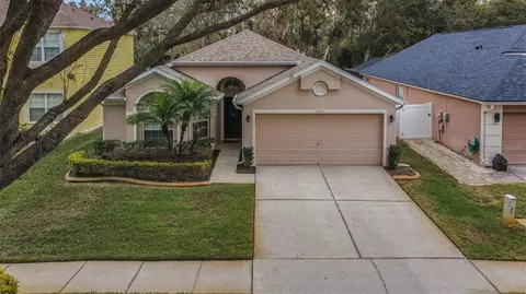 13415 Staghorn Rd, Tampa, FL 33626