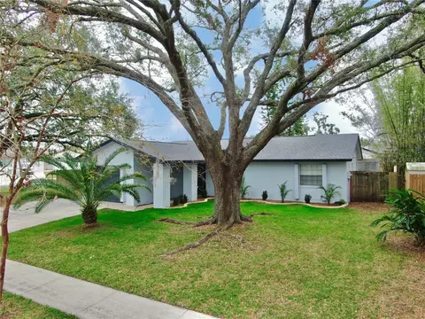 6207 Frost Dr, Tampa, FL 33625