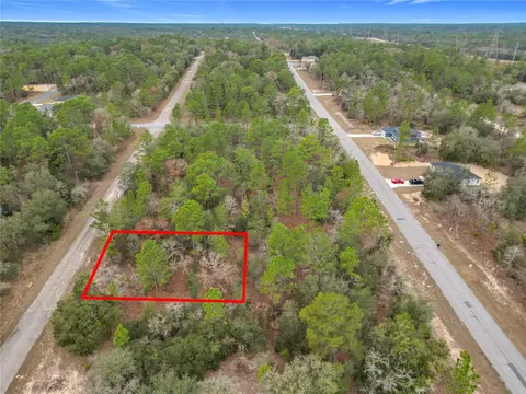 1453 W Hialeah Dr, Citrus Springs, FL 34434