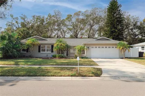 14310 Ravenwood Ln, Tampa, FL 33618