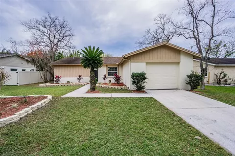 13819 Pathfinder Dr, Tampa, FL 33625