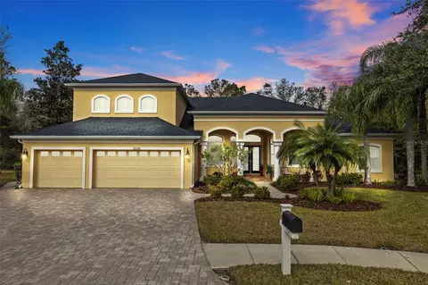 7153 Woods Bay Ct, Land O Lakes, FL 34637
